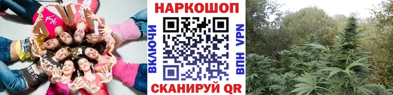 Купить Чаплыгин КОКАИН  А ПВП  Псилоцибиновые грибы  Бошки Шишки 