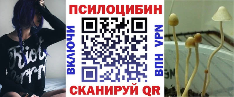 наркота  Чаплыгин  Псилоцибиновые грибы мухоморы 